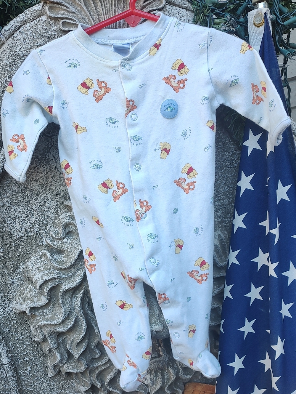 Disney/Winnie The Pooh Onzy